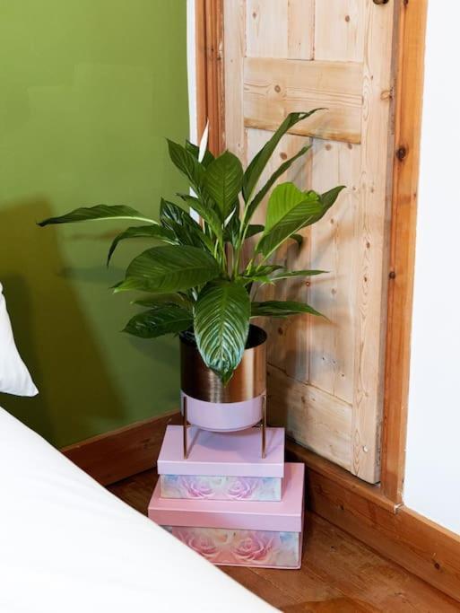 Cosy Cottage In Central Reading Free Parking & Fast Wifi Bagian luar foto